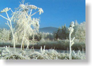 Winterlandschaft